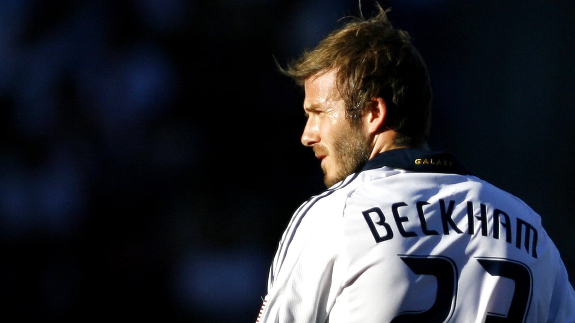 爱游戏体育-绿色低碳足球场广泛建设，绿色发展理念成为行业主旋律，绿色体育场馆